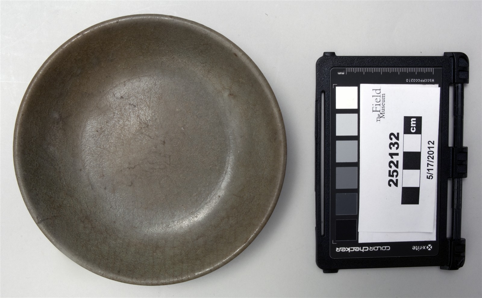 top (c) Field Museum of Natural History - CC BY-NC 4.0