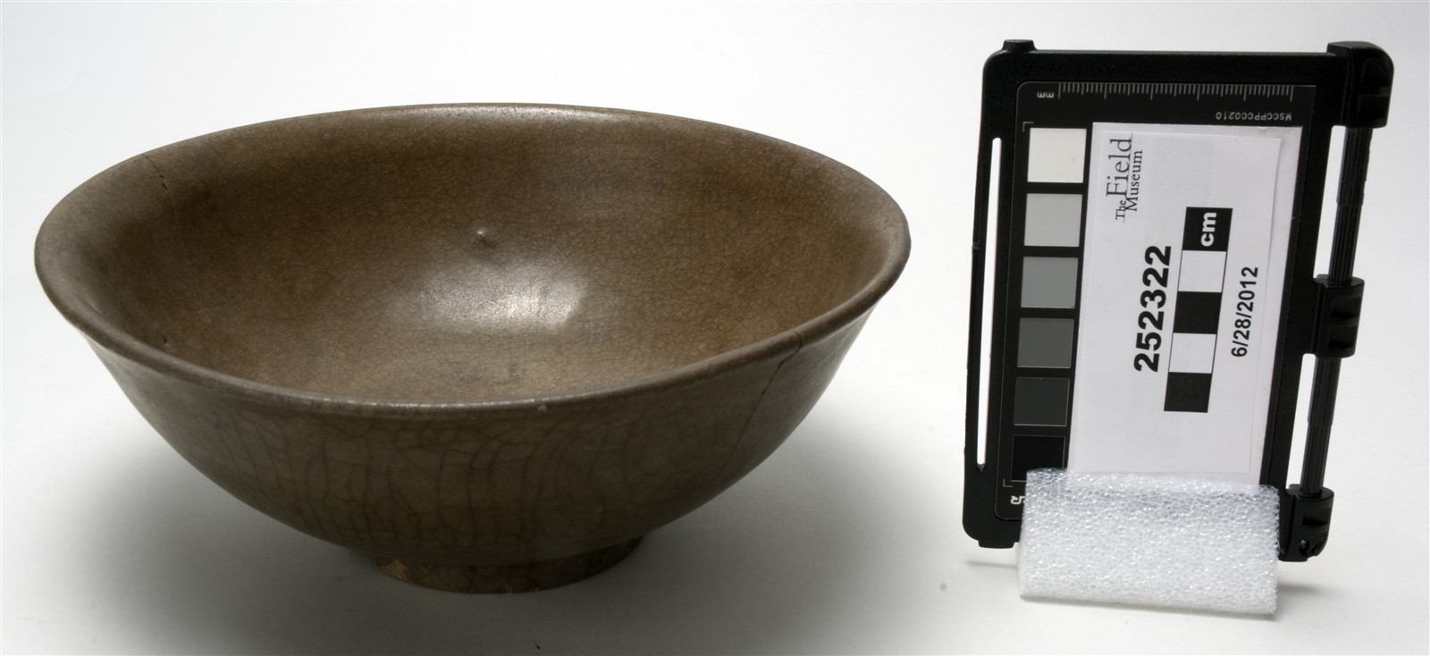 side (c) Field Museum of Natural History - CC BY-NC 4.0