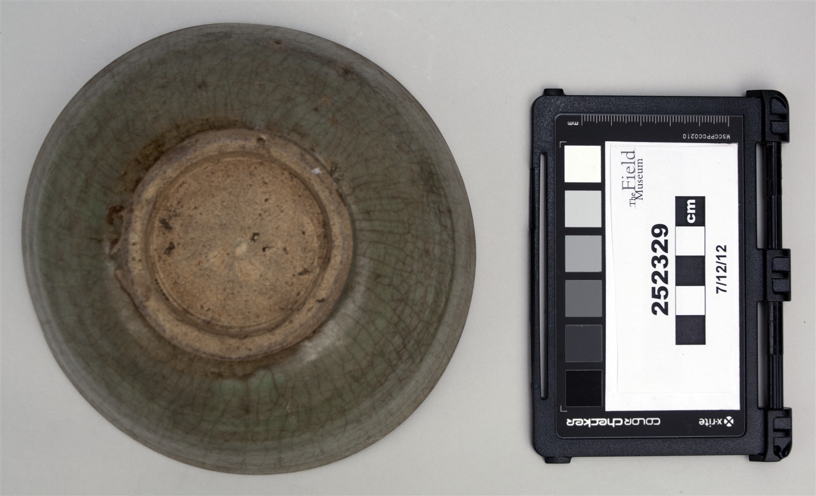 bottom (c) Field Museum of Natural History - CC BY-NC 4.0