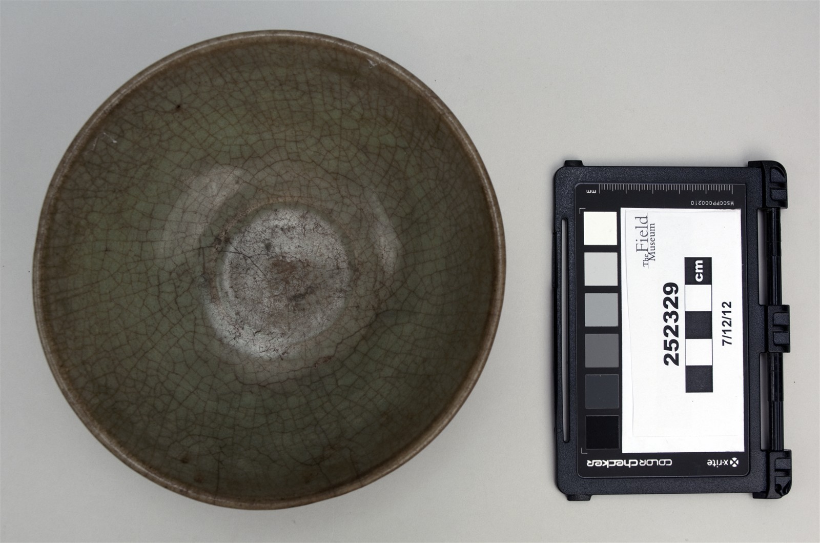 top (c) Field Museum of Natural History - CC BY-NC 4.0