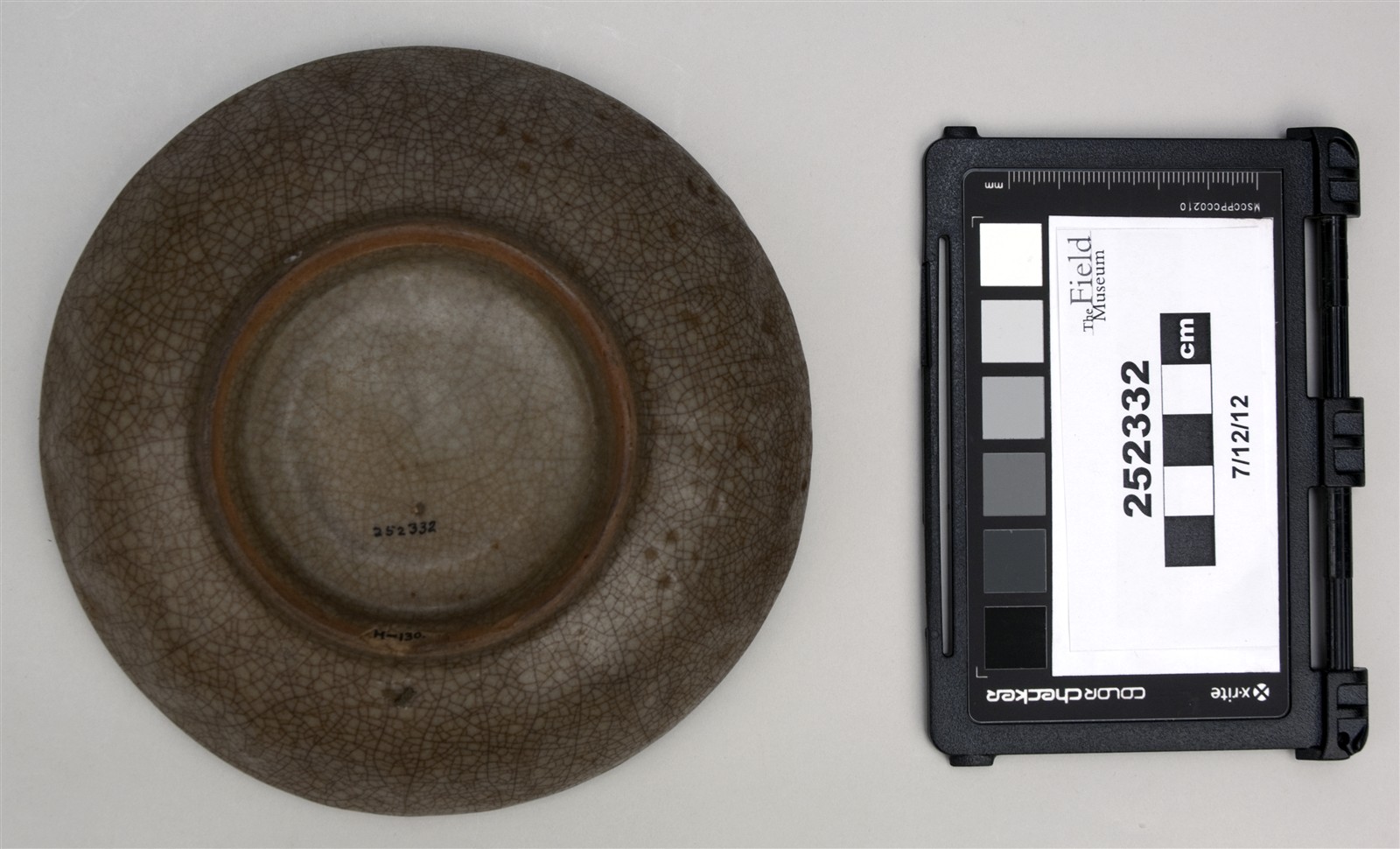 bottom (c) Field Museum of Natural History - CC BY-NC 4.0