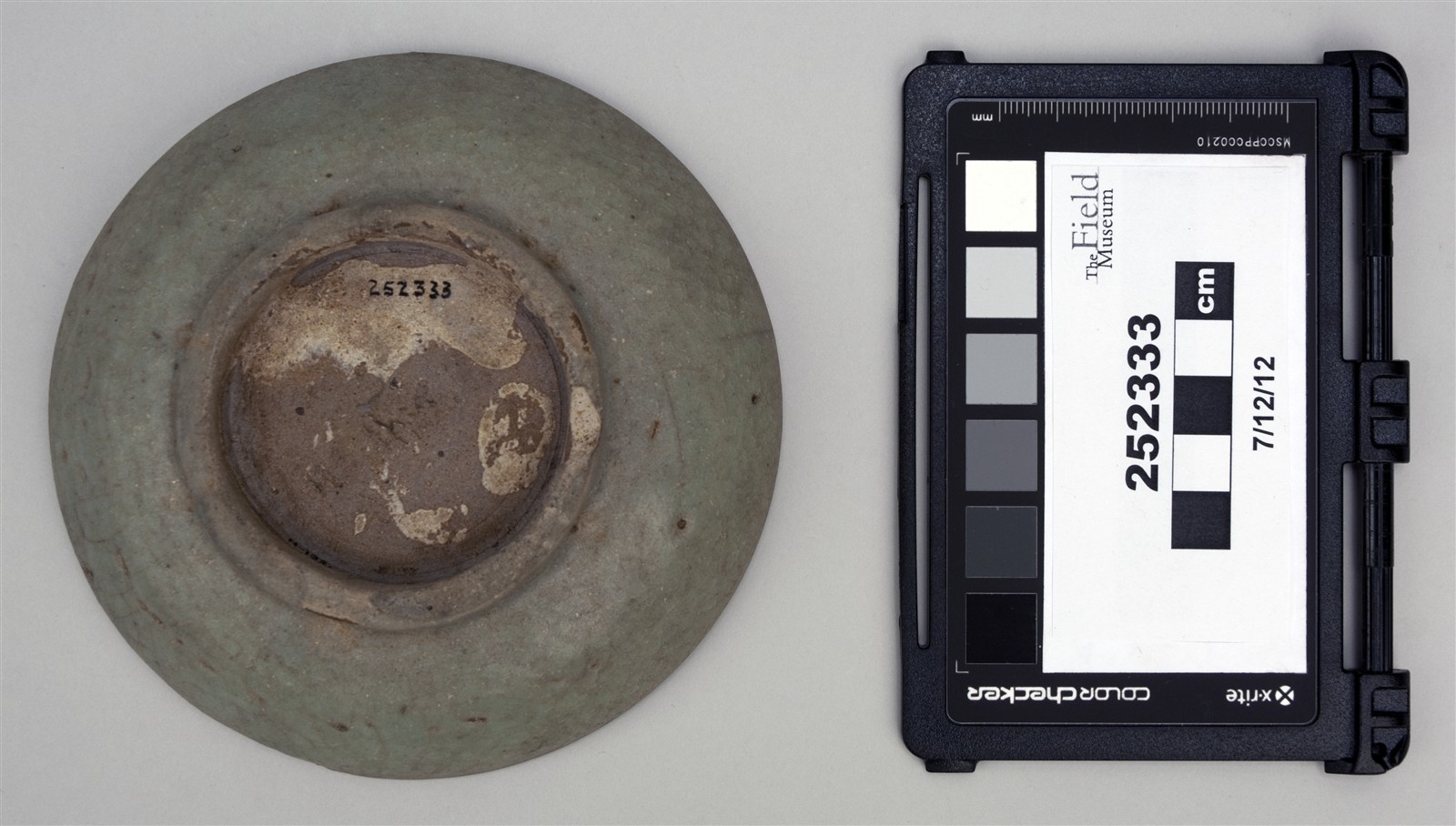 bottom (c) Field Museum of Natural History - CC BY-NC 4.0