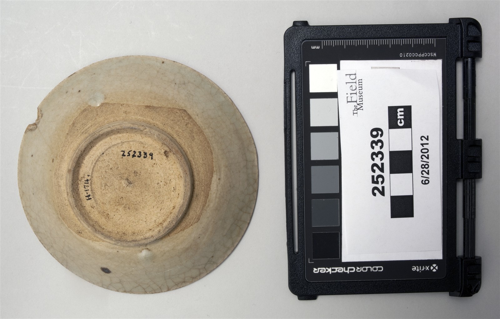 bottom (c) Field Museum of Natural History - CC BY-NC 4.0