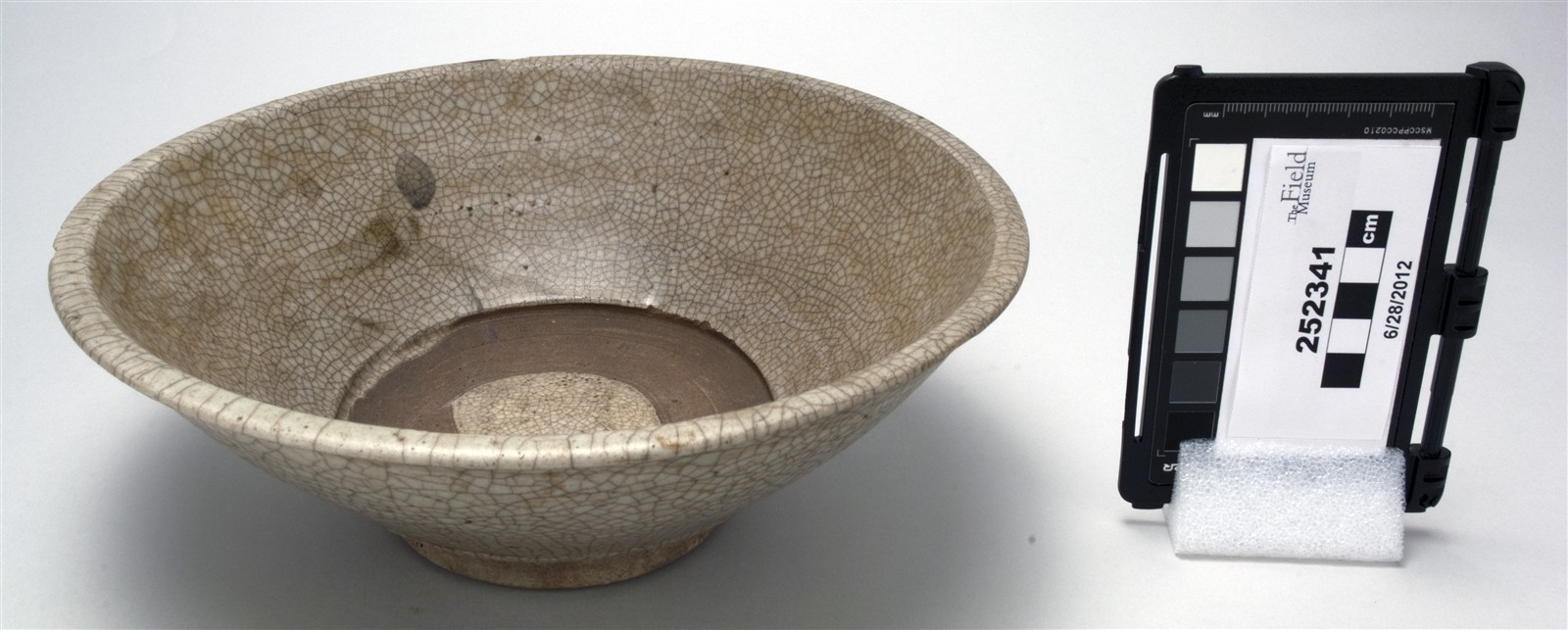 side (c) Field Museum of Natural History - CC BY-NC 4.0