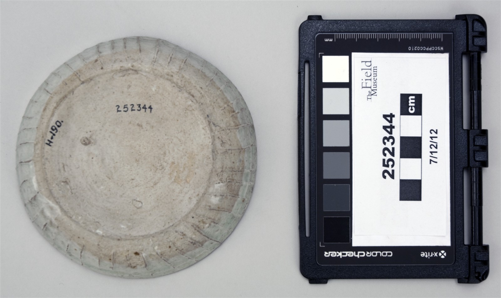 bottom (c) Field Museum of Natural History - CC BY-NC 4.0