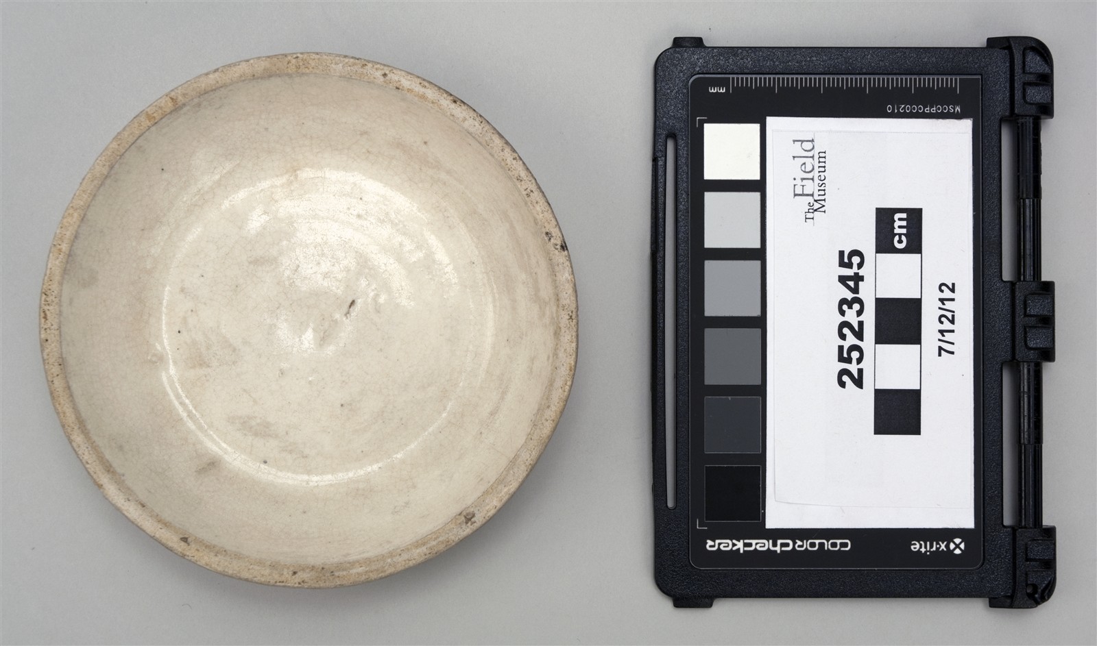 top (c) Field Museum of Natural History - CC BY-NC 4.0