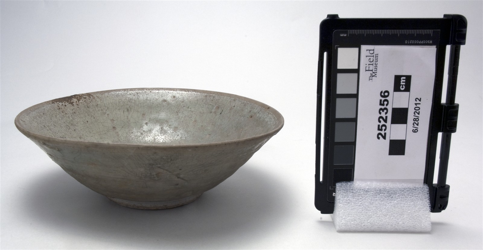 side (c) Field Museum of Natural History - CC BY-NC 4.0