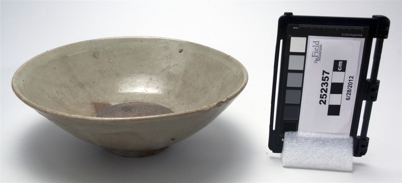 side (c) Field Museum of Natural History - CC BY-NC 4.0