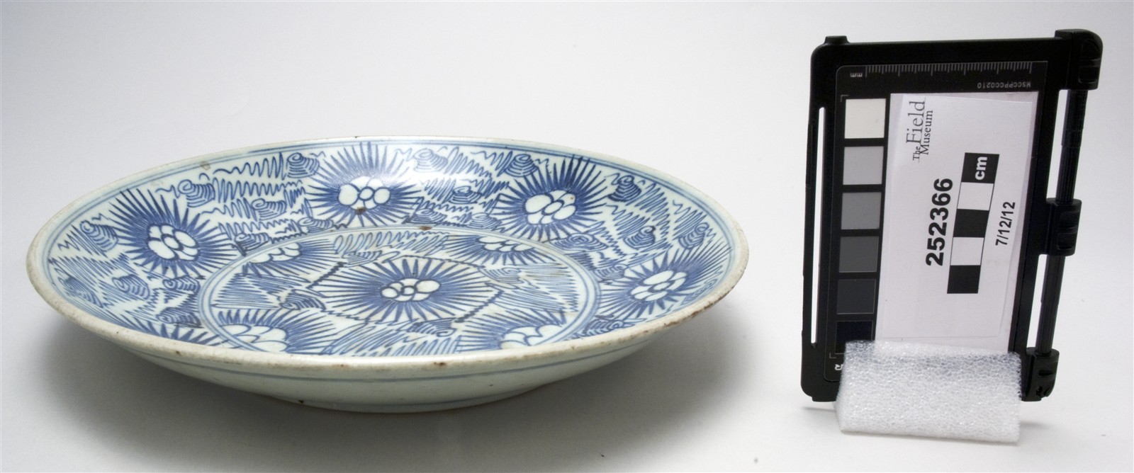 side (c) Field Museum of Natural History - CC BY-NC 4.0