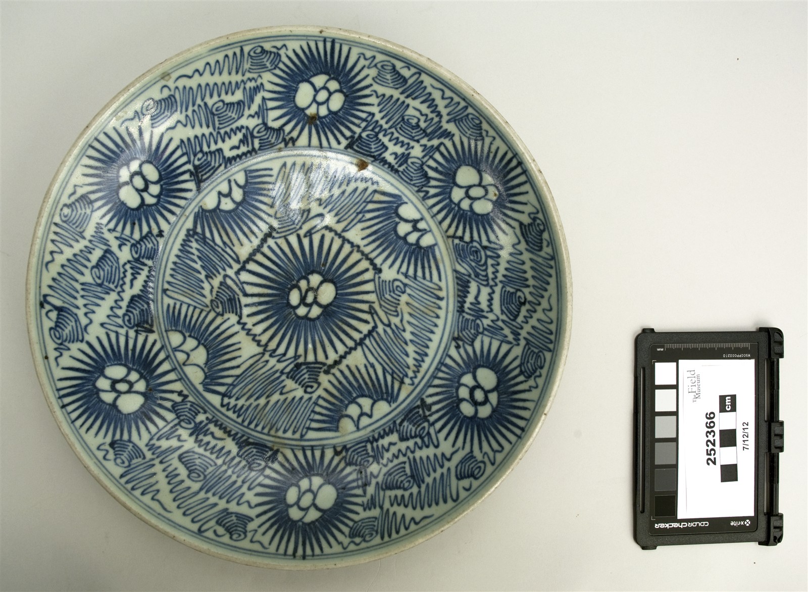 top (c) Field Museum of Natural History - CC BY-NC 4.0