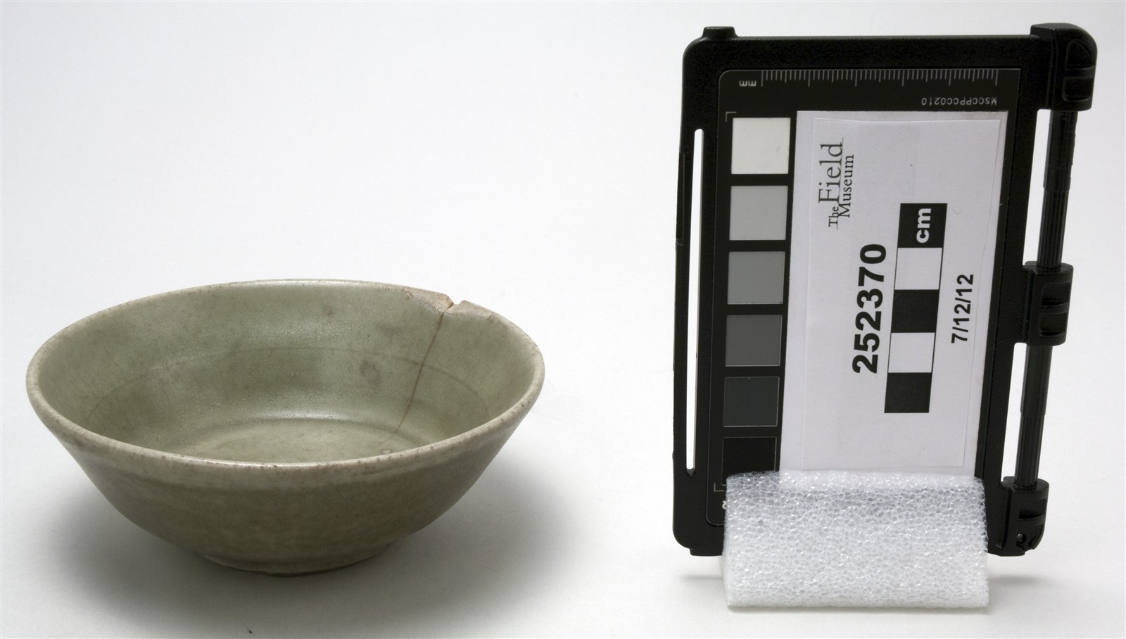 side (c) Field Museum of Natural History - CC BY-NC 4.0