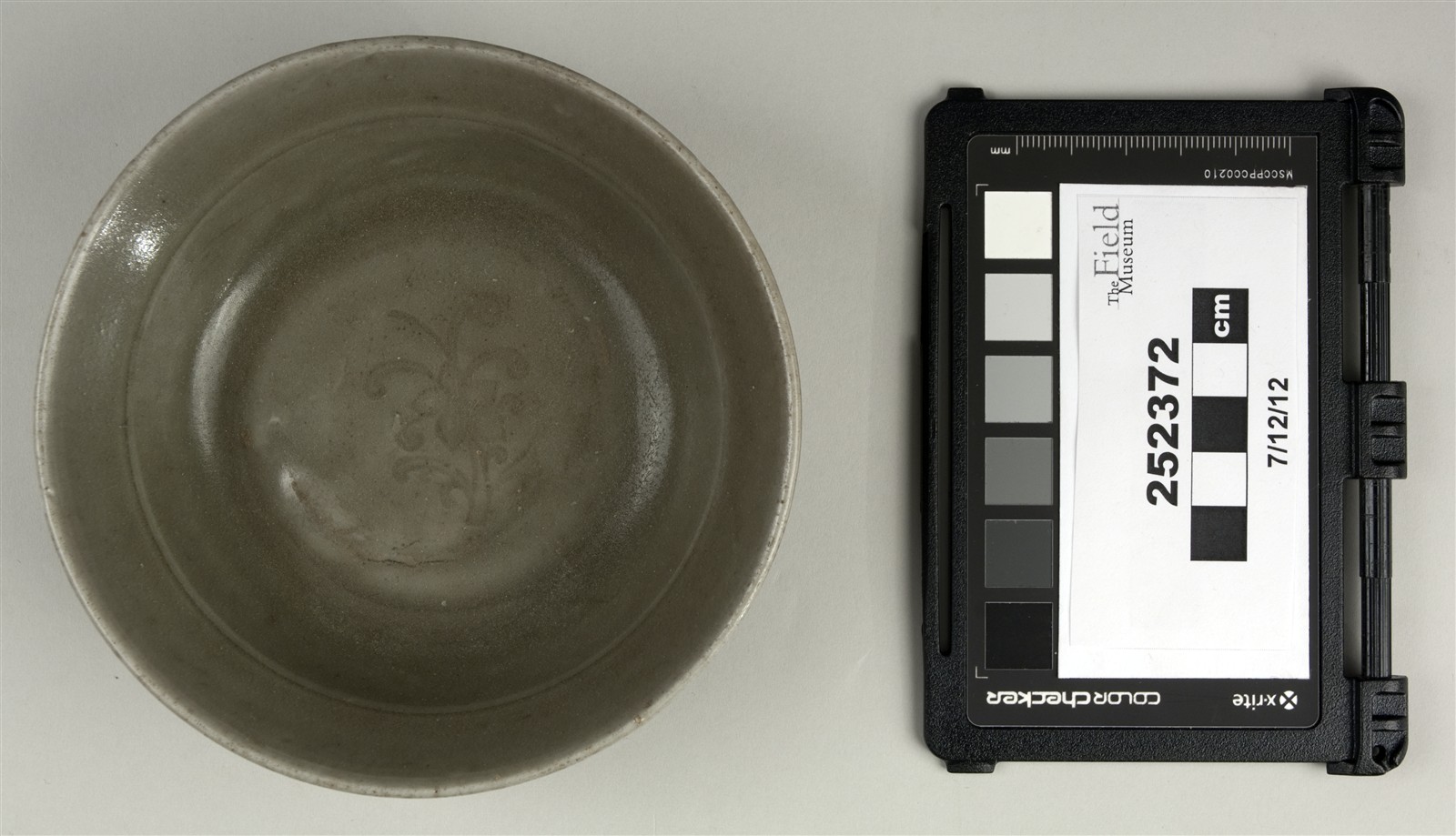 top (c) Field Museum of Natural History - CC BY-NC 4.0