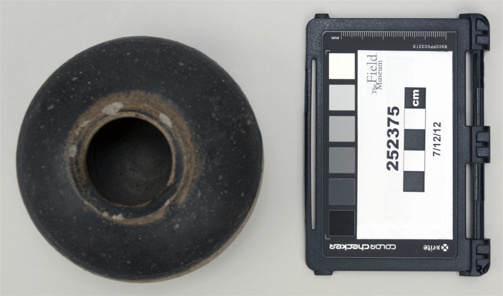 top (c) Field Museum of Natural History - CC BY-NC 4.0