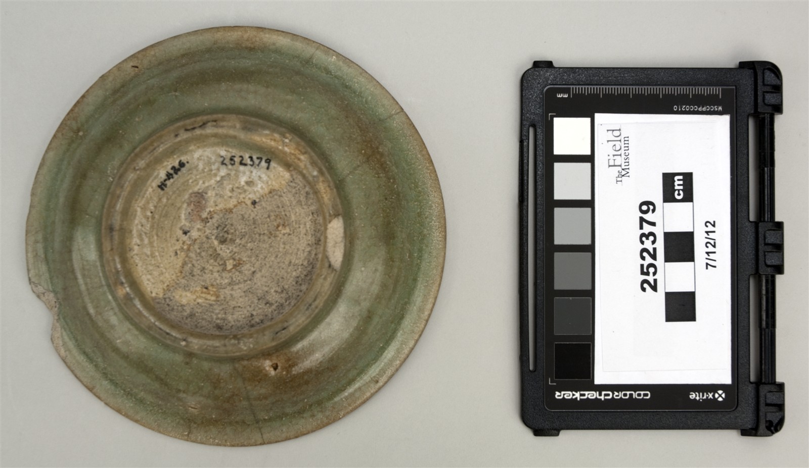 bottom (c) Field Museum of Natural History - CC BY-NC 4.0