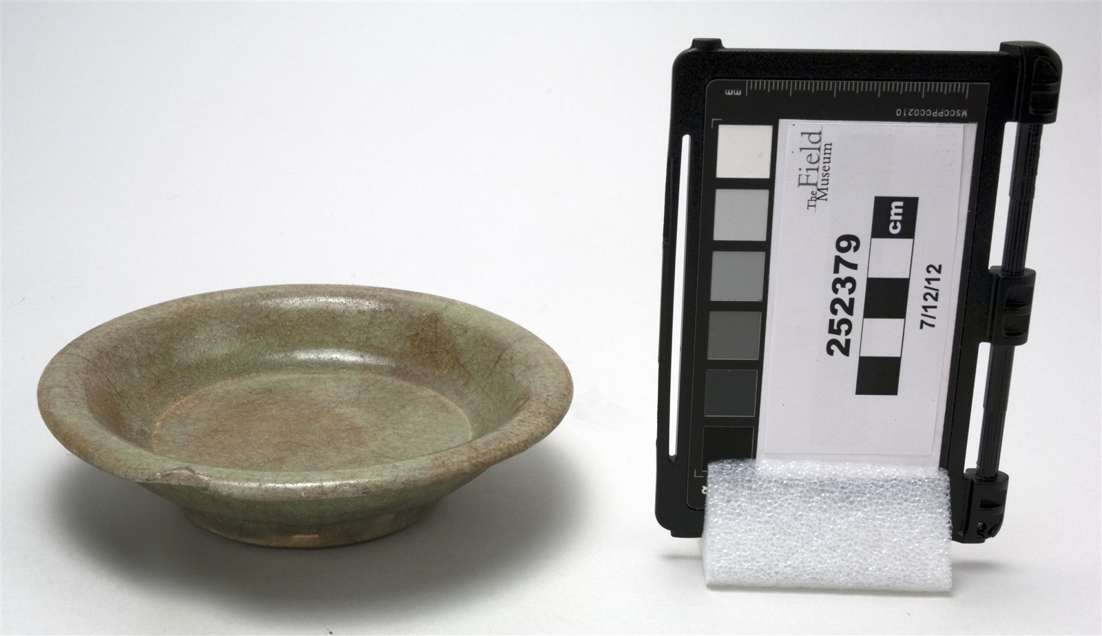 side (c) Field Museum of Natural History - CC BY-NC 4.0