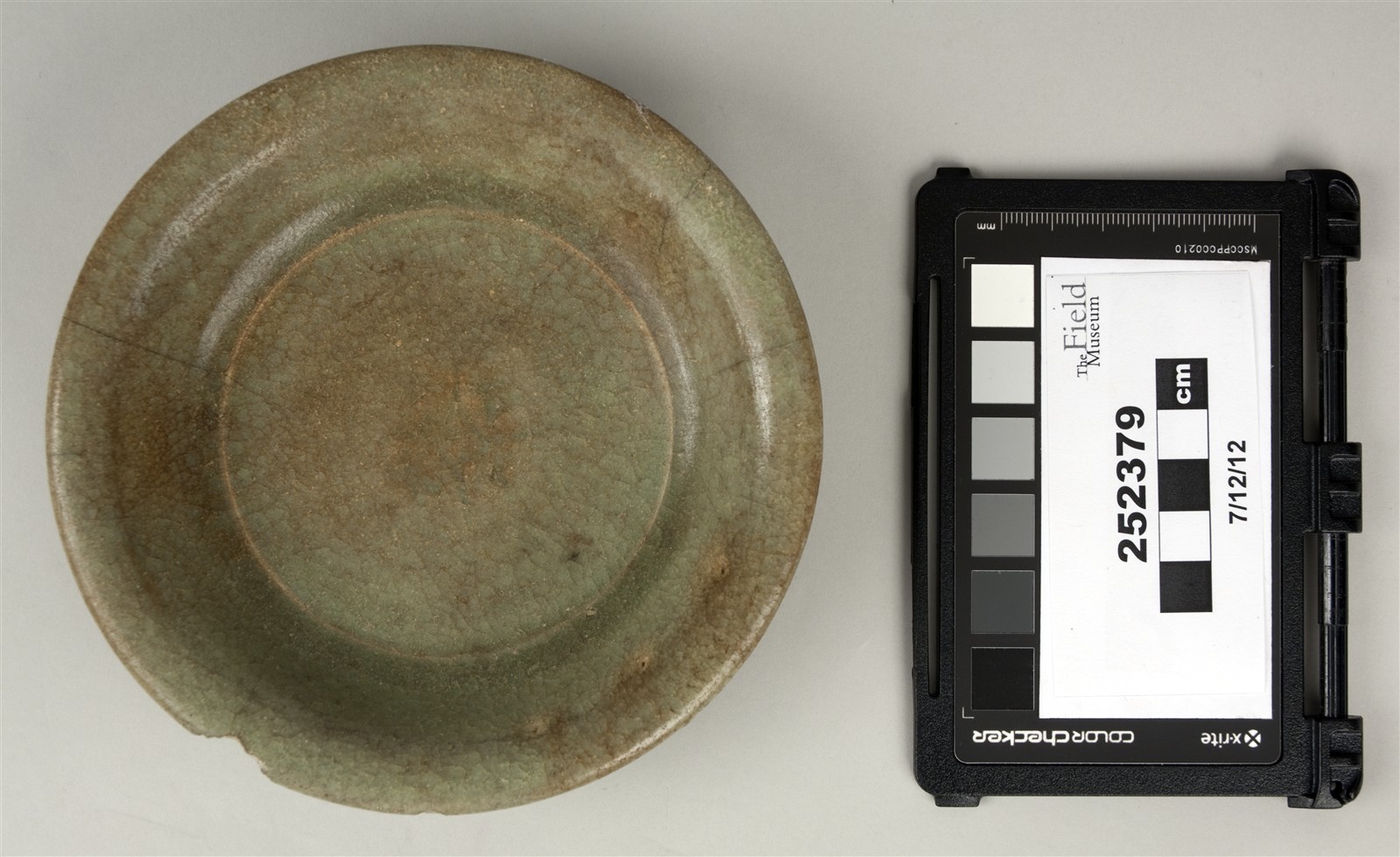 top (c) Field Museum of Natural History - CC BY-NC 4.0