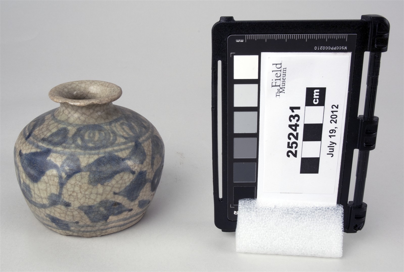 side (c) Field Museum of Natural History - CC BY-NC 4.0