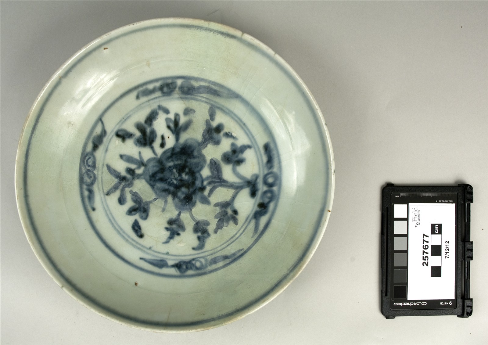 top (c) Field Museum of Natural History - CC BY-NC 4.0