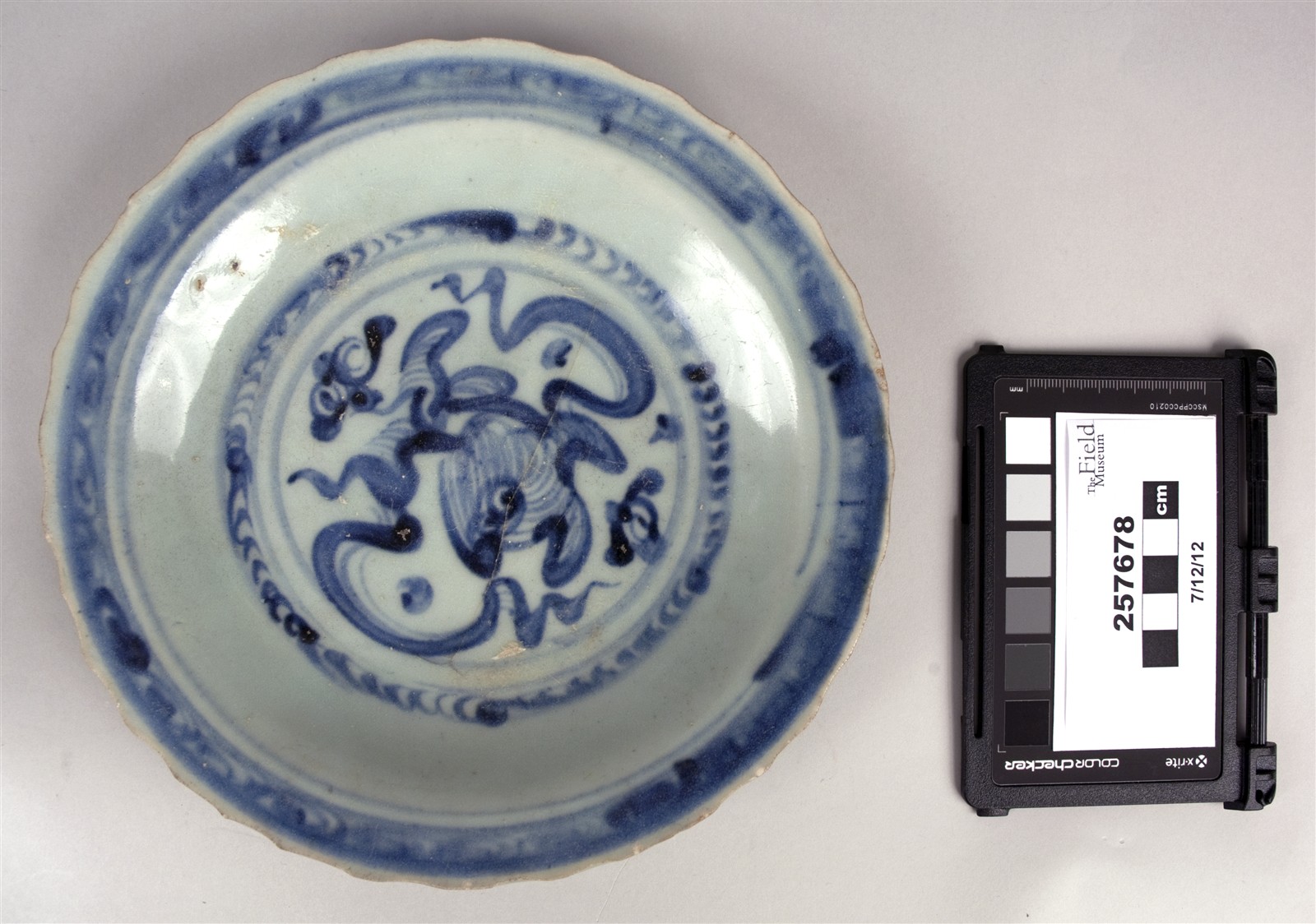 top (c) Field Museum of Natural History - CC BY-NC 4.0