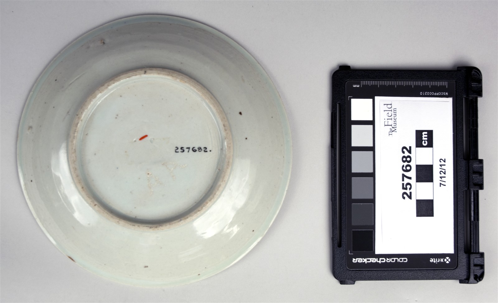 bottom (c) Field Museum of Natural History - CC BY-NC 4.0