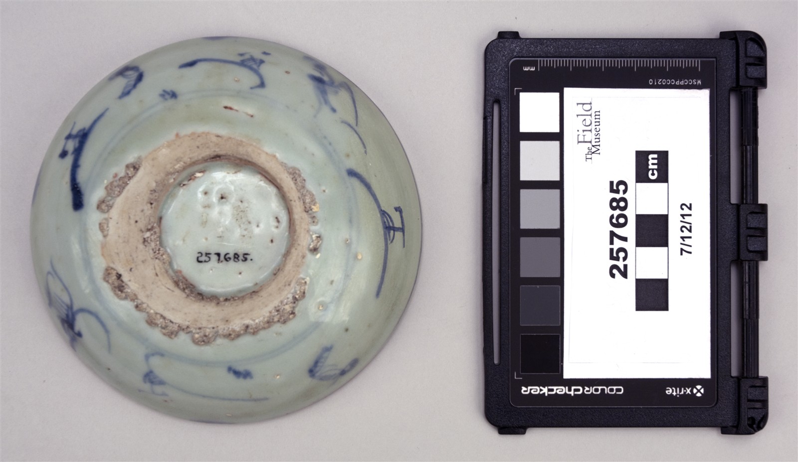 bottom (c) Field Museum of Natural History - CC BY-NC 4.0