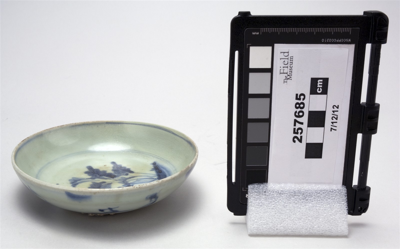 side (c) Field Museum of Natural History - CC BY-NC 4.0