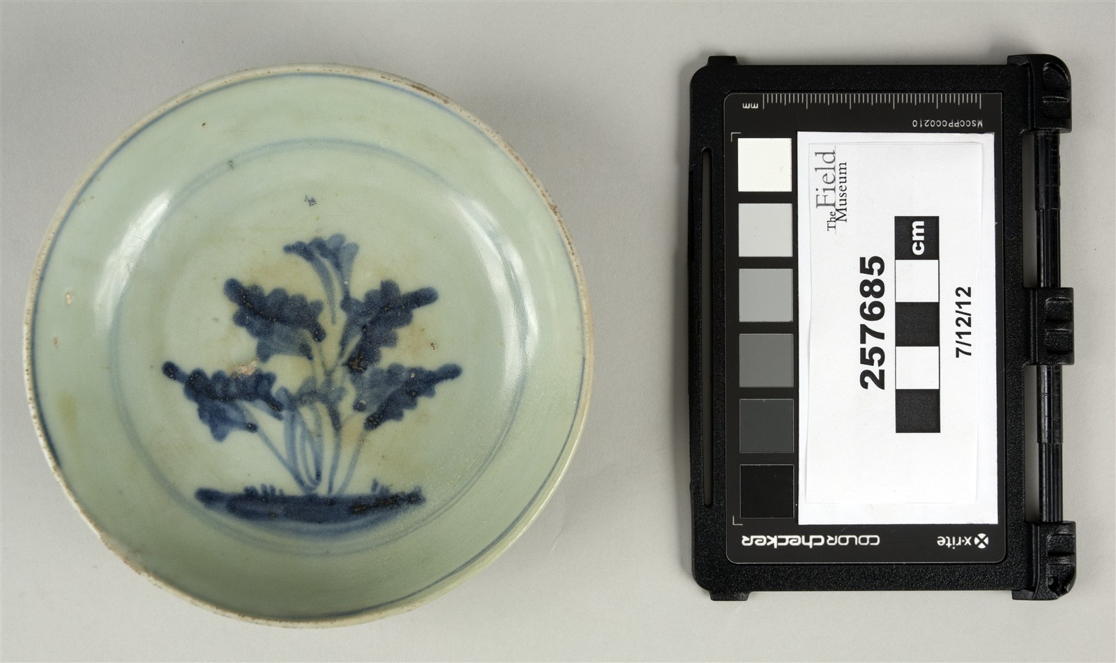 top (c) Field Museum of Natural History - CC BY-NC 4.0