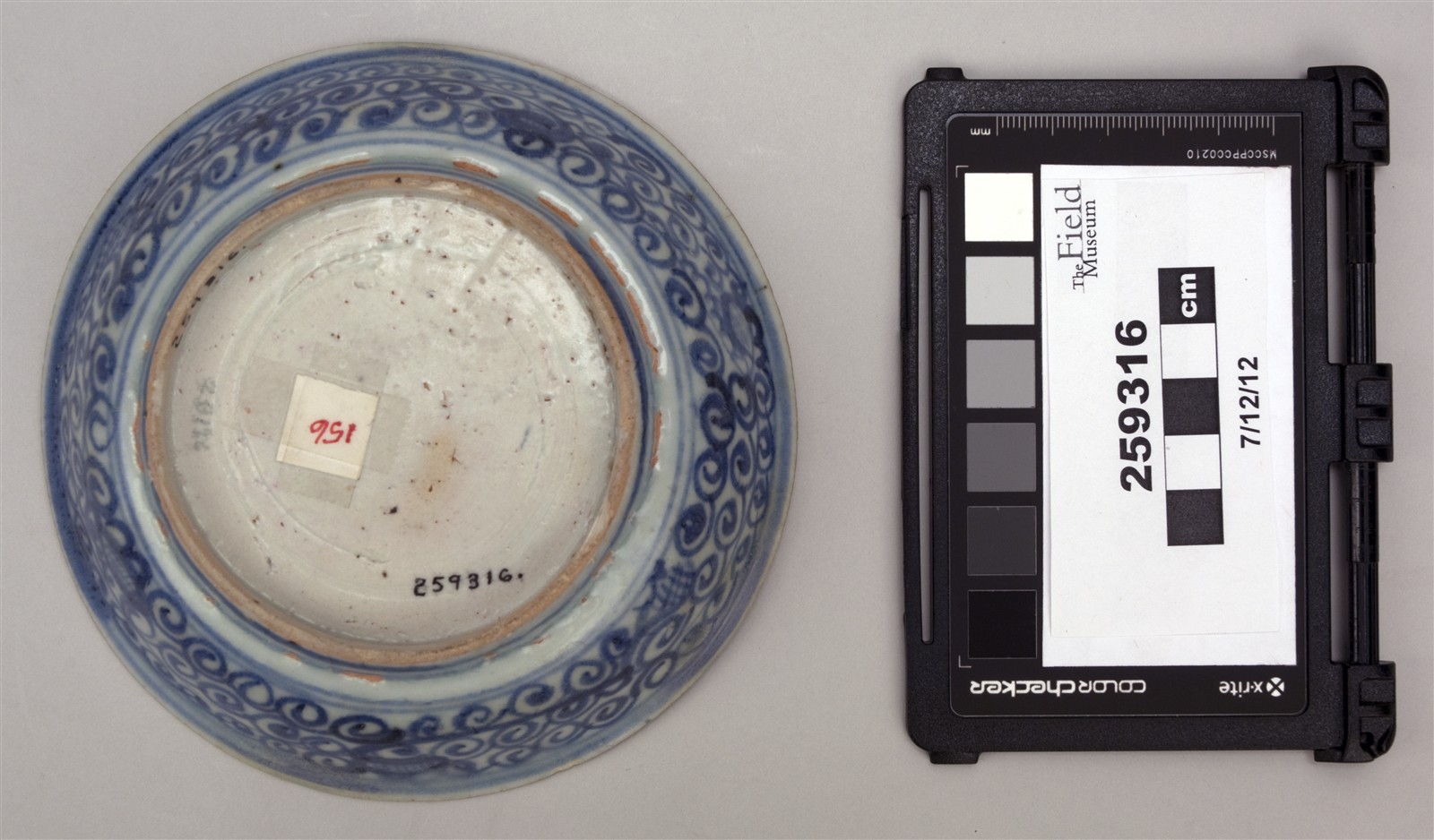 bottom (c) Field Museum of Natural History - CC BY-NC 4.0