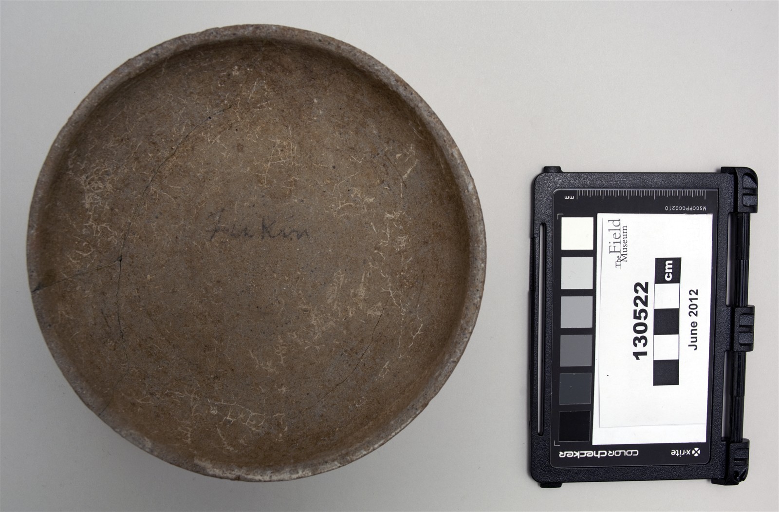 lid bottom (c) Field Museum of Natural History - CC BY-NC 4.0