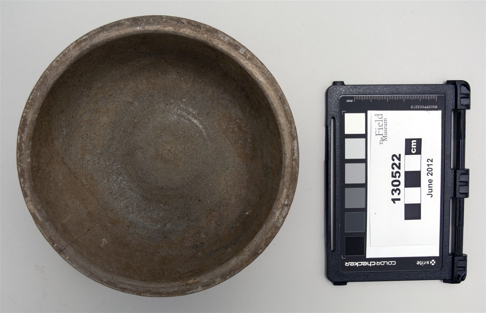 top (c) Field Museum of Natural History - CC BY-NC 4.0