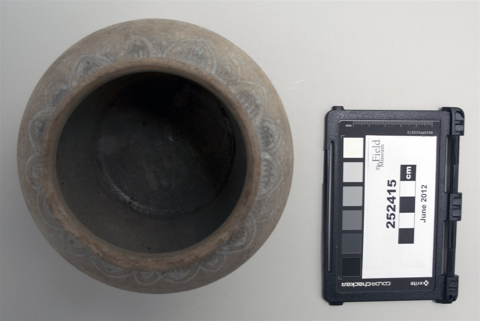 top (c) Field Museum of Natural History - CC BY-NC 4.0