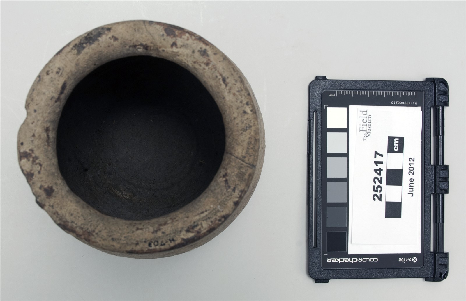 top (c) Field Museum of Natural History - CC BY-NC 4.0