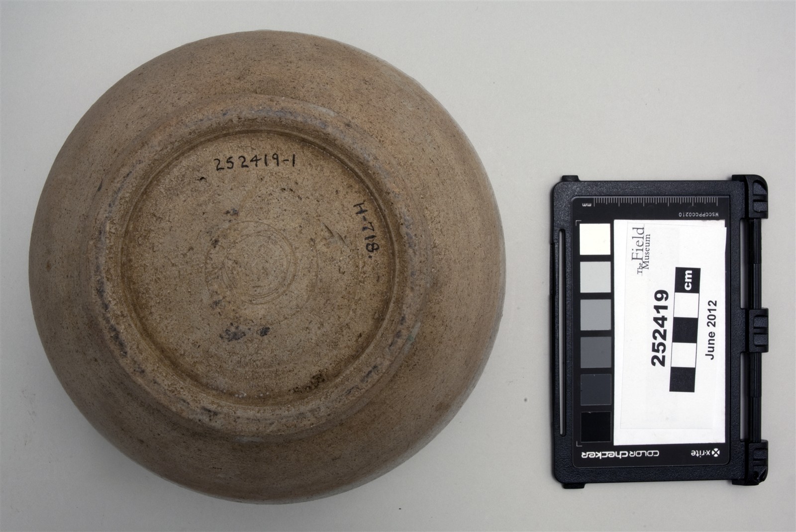 bottom (c) Field Museum of Natural History - CC BY-NC 4.0