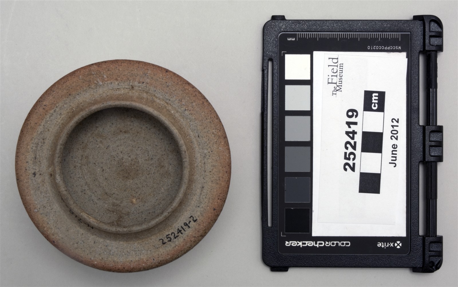 bottom lid (c) Field Museum of Natural History - CC BY-NC 4.0