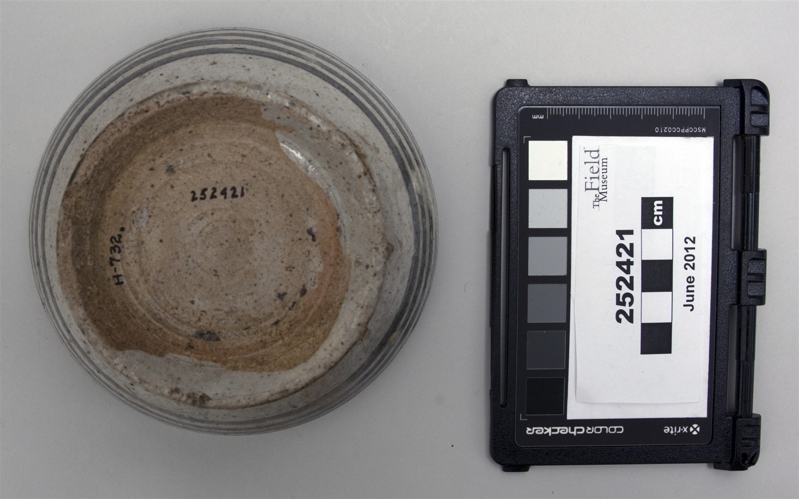 bottom (c) Field Museum of Natural History - CC BY-NC 4.0