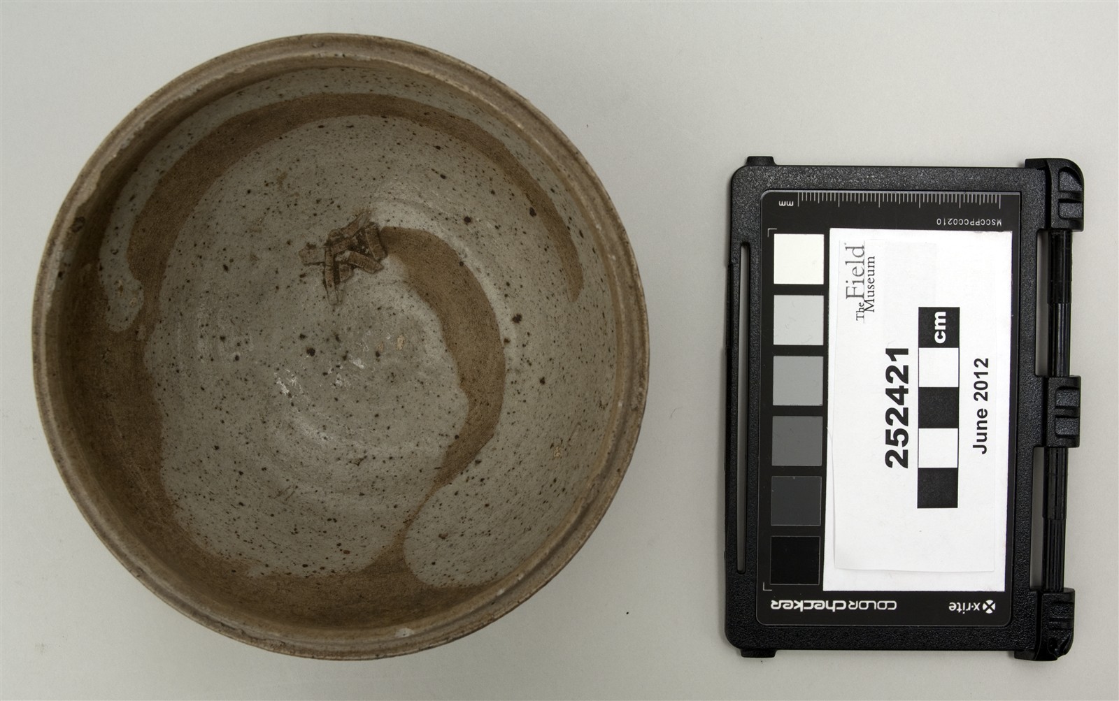 top (c) Field Museum of Natural History - CC BY-NC 4.0