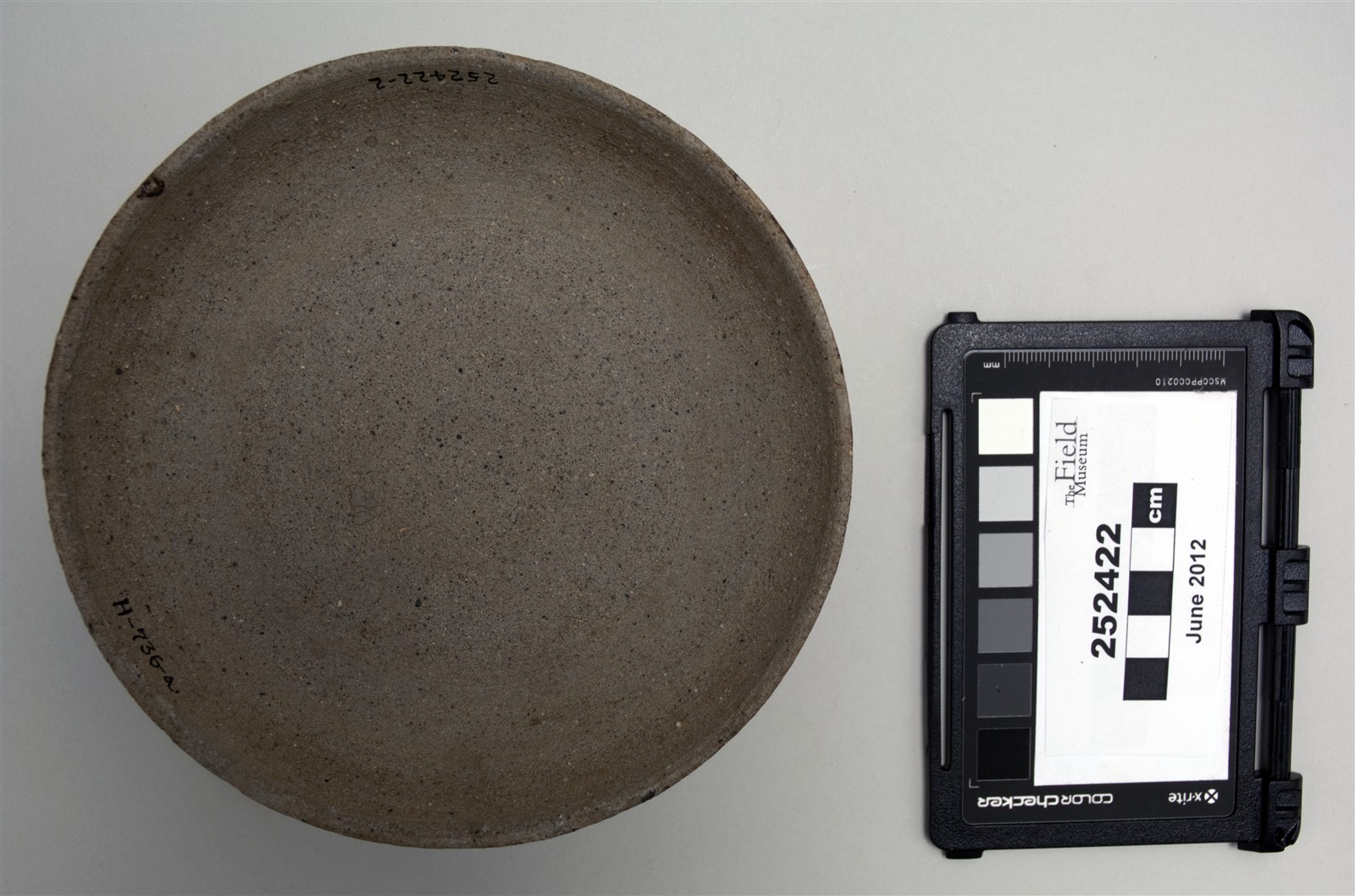 lid bottom (c) Field Museum of Natural History - CC BY-NC 4.0