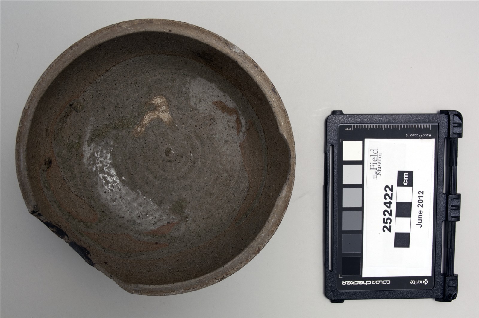 top (c) Field Museum of Natural History - CC BY-NC 4.0