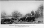 Miocene Plains Mammals, Restoration of some animals of the Upper Miocene Period. Cenozoic; Long-necked camel Oxydactylus, two-horned rhinoceros Menoceras, 3 (three) toed horse Parahippus, giant pig Dinohyus, Mammal with claws, curious Moropus. Charles R. Knight painting or mural.