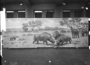 Miocene Plains Mammals Cenozoic era. Painting by Charles R. Knight. Preinstallation, the mural is on 2 panel carts, Hall 38 windows visible in background.