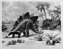 Stegosaurus Mesozoic. Painting by Charles R. Knight.