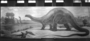 Apatosaurus excelsus (Brontosaurus) with tail dragging, head based on Camarasaurus. Jurassic dinosaur Mesozoic. Mural painting by Charles R. Knight, [signed Chas. R. Knight 1930]. On floor, mural is preinstallation, some of the windows of Hall 38 are showing at the top.