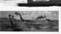 Reptiles That Invaded The Seas; Plesiosaurus and Stenopterygius, fish shaped ichthyosaur. Mesozoic, Jurassic. Study painting for mural [preliminary drawing] by Charles R. Knight.