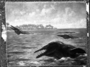 Whales of the Eocene Seas. Restoration of the primitive whale. Basilosaurus [Zeuglodon] Painting by Charles R. Knight 1925.