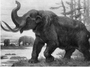 American Mastodons Cenozoic era. Painting by Charles R. Knight.