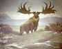 Irish Deer (Elk?), Megaloceros. Cenozoic Charles R. Knight painting or mural. Knight's unsurpassed tribute to the magnificent Irish Deer Megaloceros, which possessed the most ponderous antlers of any known deer, their spread being an incredible eight or more feet.