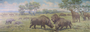 Miocene Plains Mammals, Cenozoic; Long-necked camel Oxydactylus, two-horned rhinoceros Menoceras, 3 (three) toed horse Parahippus, giant pig Dinohyus, Mammal with claws, curious Moropus. Charles R. Knight painting or mural.