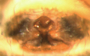Dismodicus bifrons female epigynum