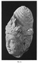 121427: Carved marble head of bodhisatv