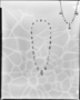 196800: Necklace of shells, perforated